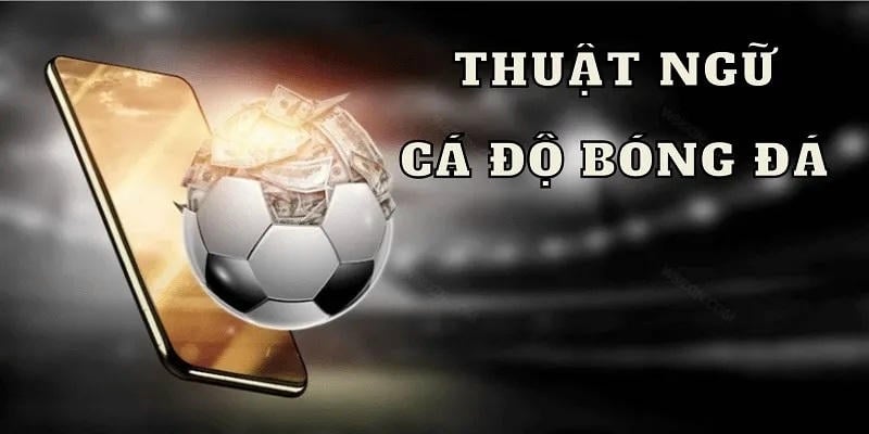 Thuật Ngữ Cơ Bản Trong Cá Cược Bóng Đá